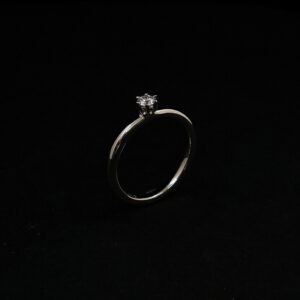 Verlobungsringe/Ringe