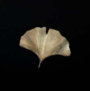 Handgearbeitete Goldbrosche in Form eines Ginkgo-Blattes.